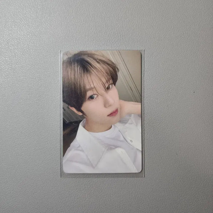 엔시티위시 송버드 중국 이즈위 팬싸포카 시온