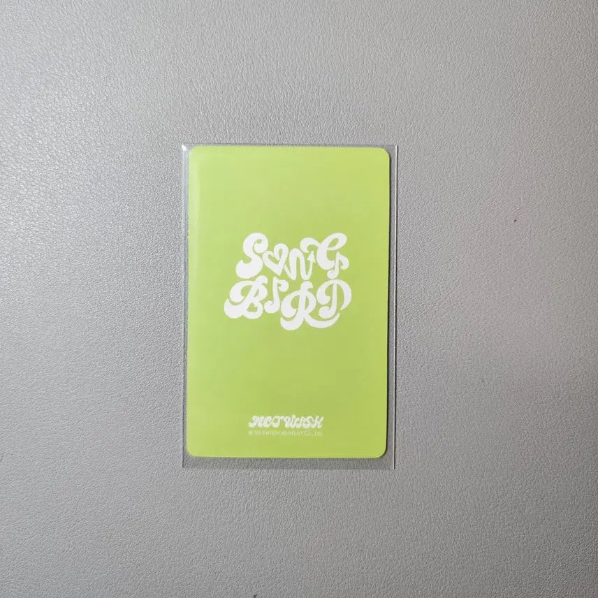 엔시티위시 송버드 중국 이즈위 팬싸포카 시온