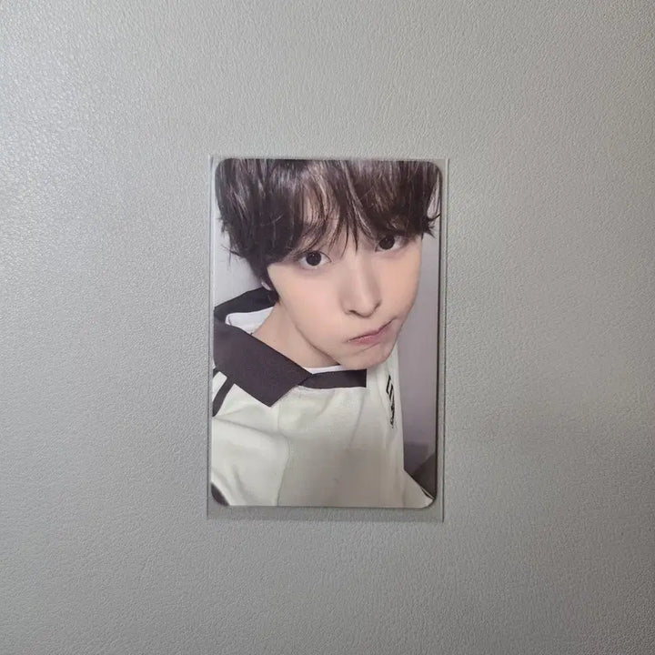 엔시티위시 송버드 슴스토어 팬싸포카 리쿠