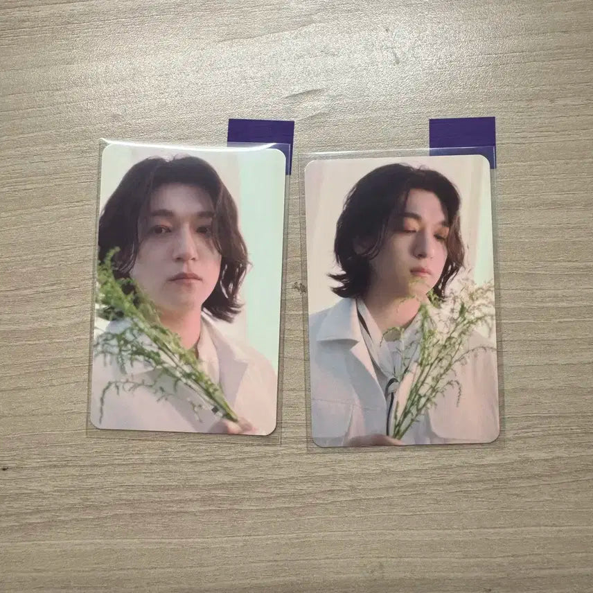 [원가양도] 데이식스 팬미팅 피어텐 트레카 성진 일괄양도
