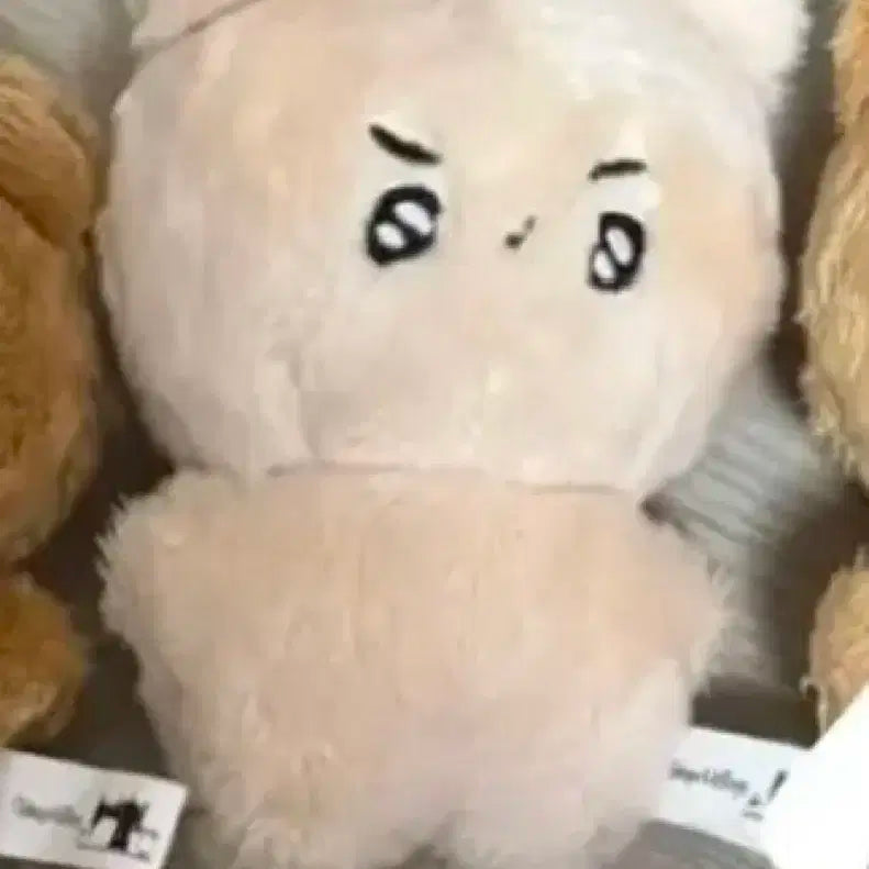 더보이즈 현재 인형 횬도리