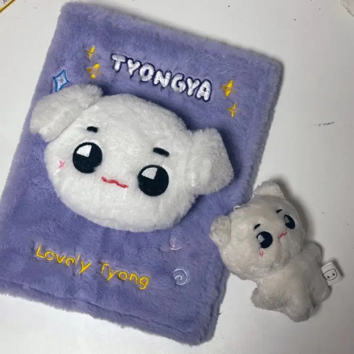 툥야 바인더 콜렉트북