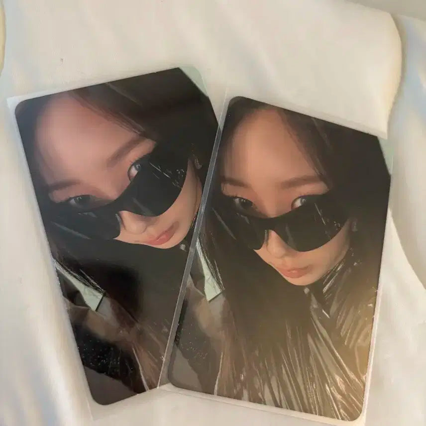 위플레시 지젤 포카