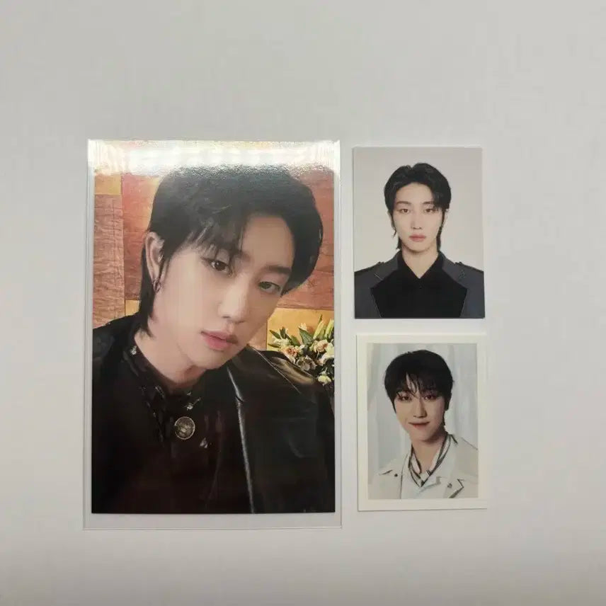 세븐틴 디에잇 the8 포카 & 증사 세트 일괄 양도 멤버십키트 비더썬