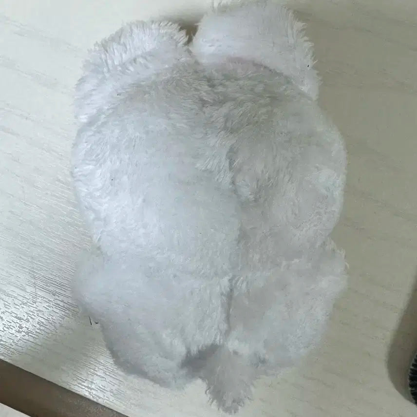 르세라핌 홍은채 홍채뽀 인형