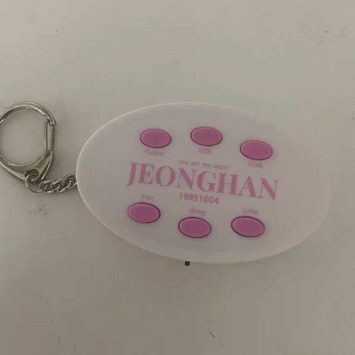정한 캐럿반 승관 호시 에스쿱스 원우 포카 정한 보이스 키링 일괄