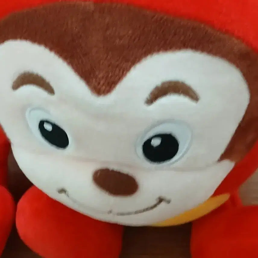 코코몽
