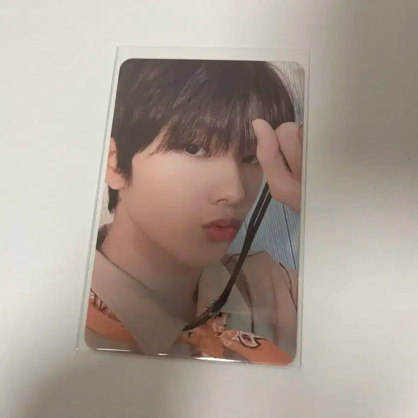 엔시티 지성 포카