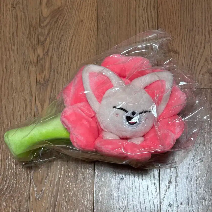 스키즈 일본엠디 스키주 펜 케이스 폭시니 아이엔 양정인