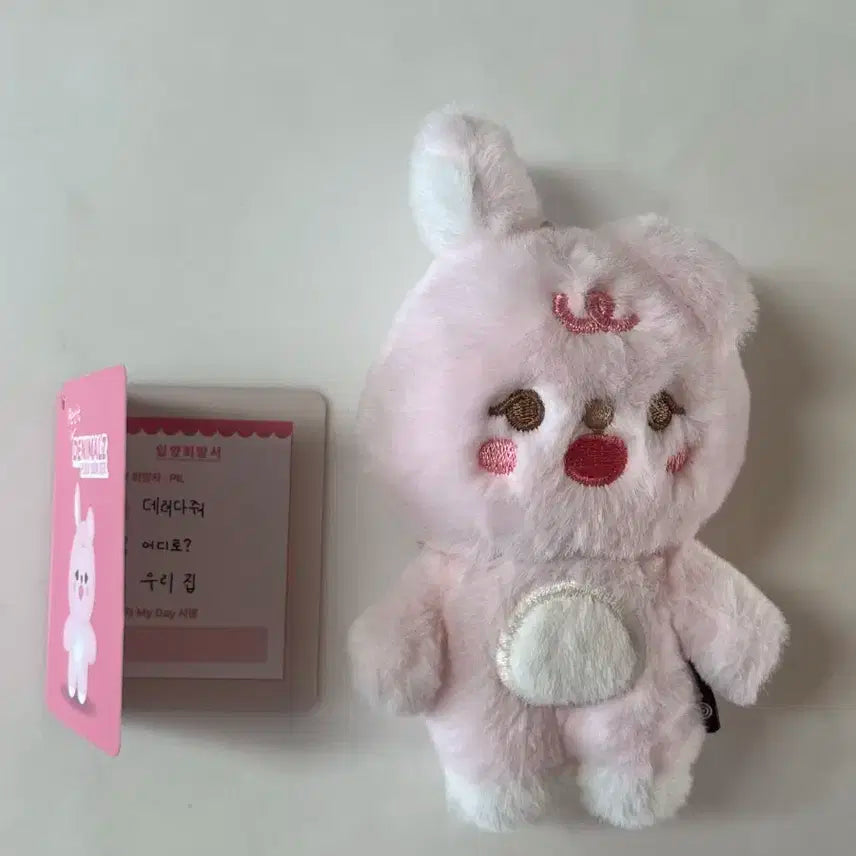 데이식스 쁘띠멀즈 필끼