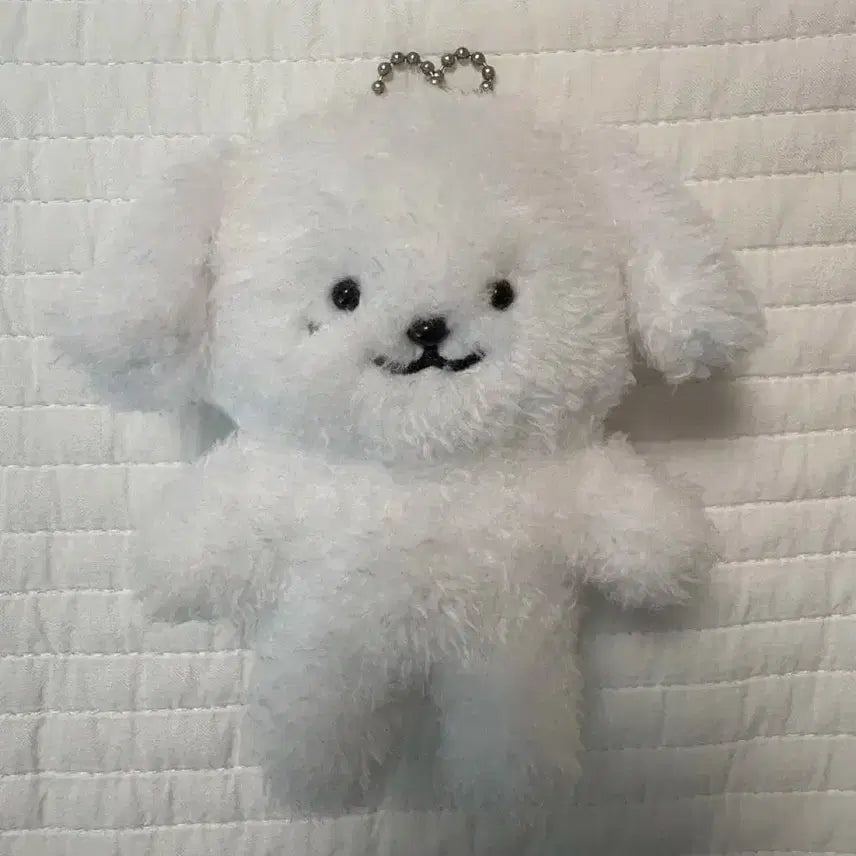 !급처! 엔시티 제노 젠몽이 양도 10cm 인형