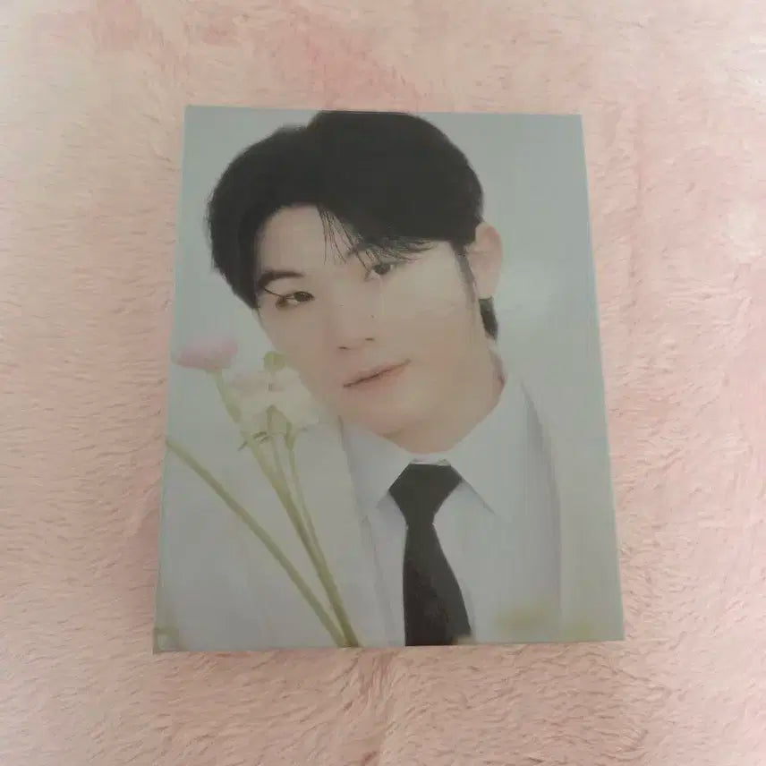 급처/일괄) 세븐틴 앨범 캐럿반 바인더 포카제외