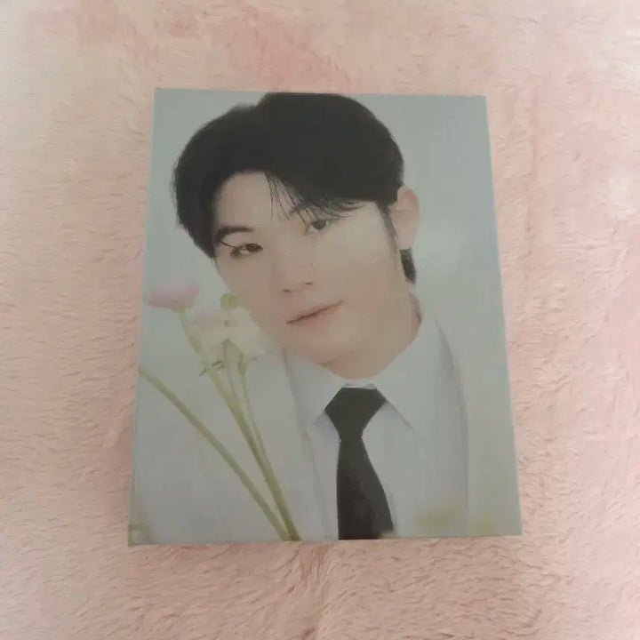 급처/일괄) 세븐틴 앨범 캐럿반 바인더 포카제외