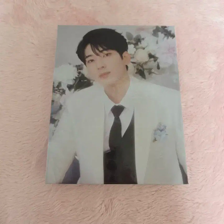급처/일괄) 세븐틴 앨범 캐럿반 바인더 포카제외