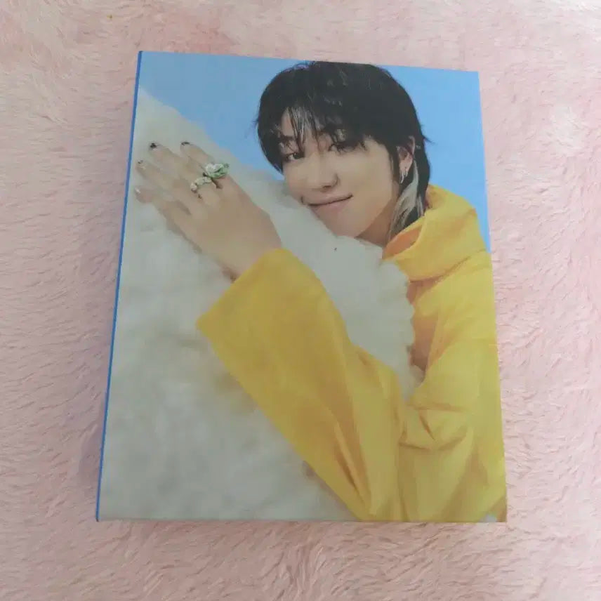 급처/일괄) 세븐틴 앨범 캐럿반 바인더 포카제외