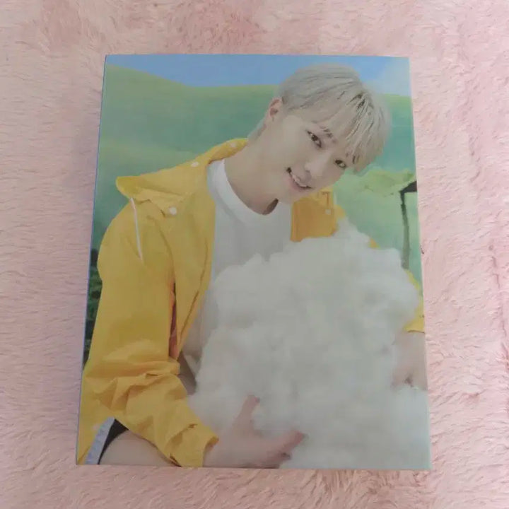 급처/일괄) 세븐틴 앨범 캐럿반 바인더 포카제외