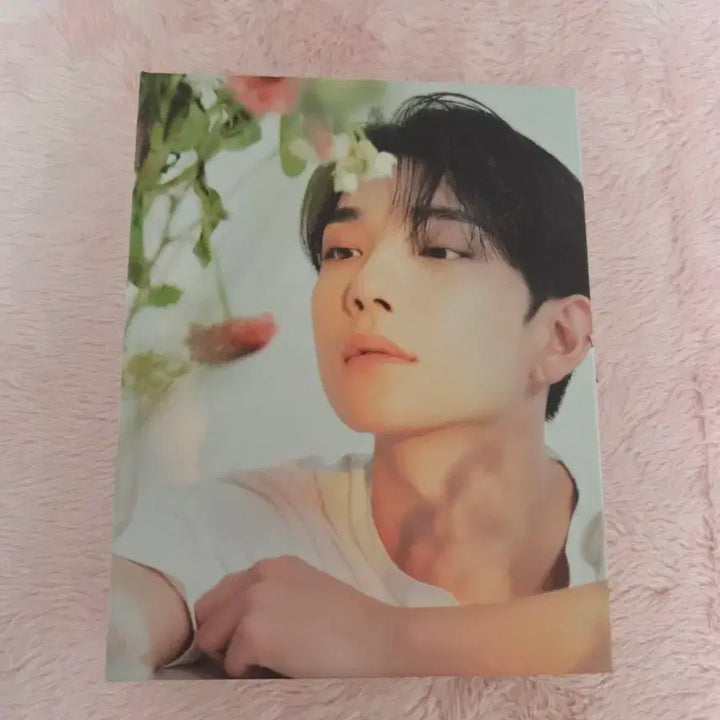 급처/일괄) 세븐틴 앨범 캐럿반 바인더 포카제외