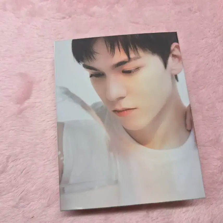 급처/일괄) 세븐틴 앨범 캐럿반 바인더 포카포함