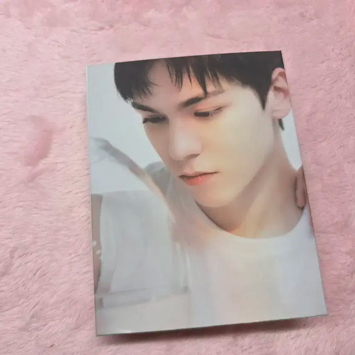 급처/일괄) 세븐틴 앨범 캐럿반 바인더 포카포함