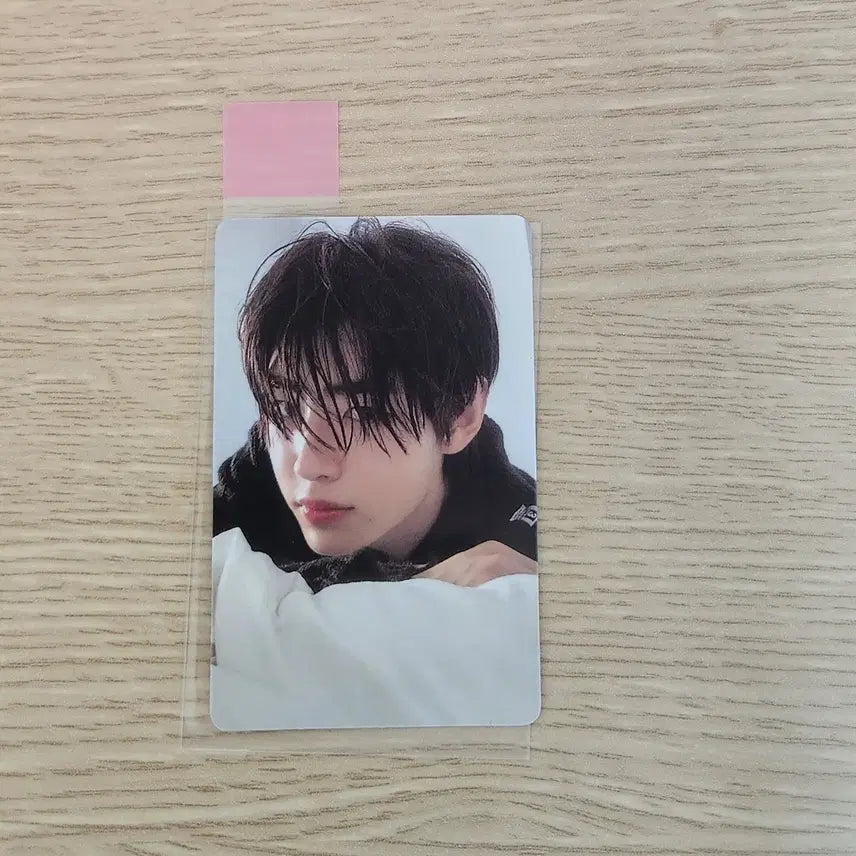 엔하이픈 데이드림 이즈위 성훈