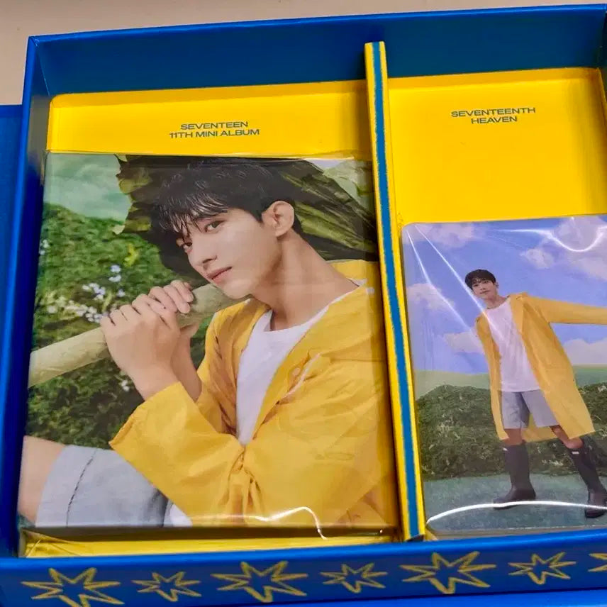 세븐틴 캐럿반 쿱스 준 호시 우지 디노 도겸