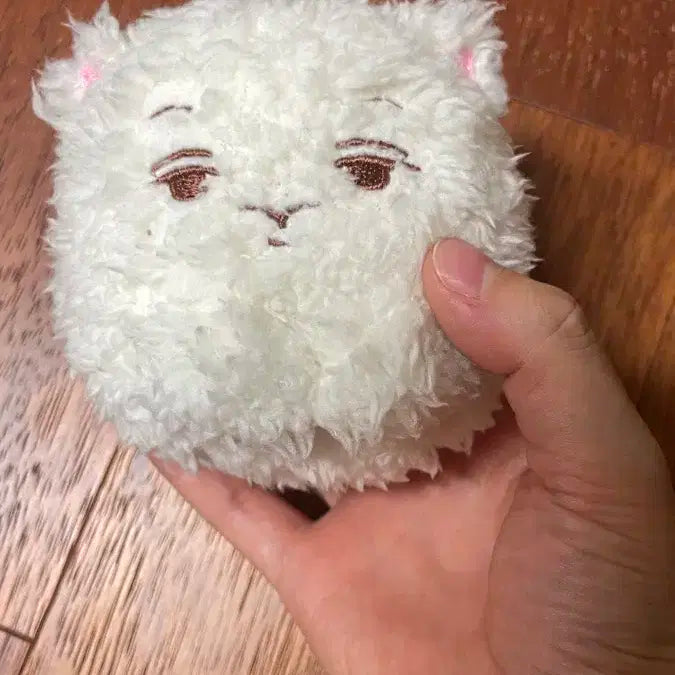 엑소 레이 장이씽 인형 키링