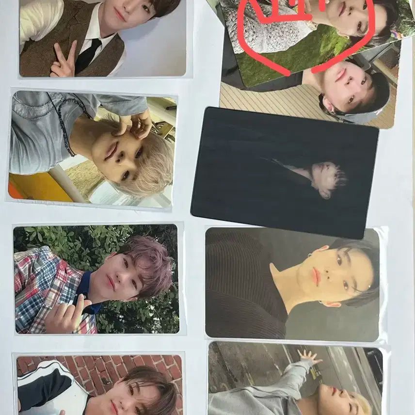 급처))세븐틴 호시 포카 일괄 판매+말랑핀뱃지