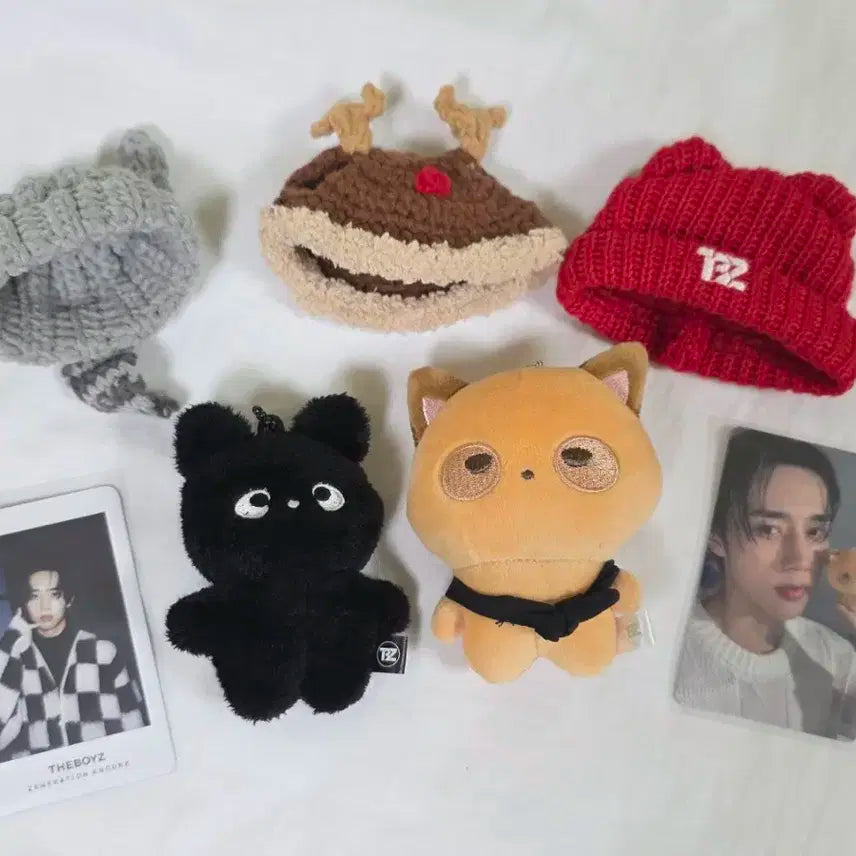 더보이즈 선우 공식 인형 일괄 제너레이션