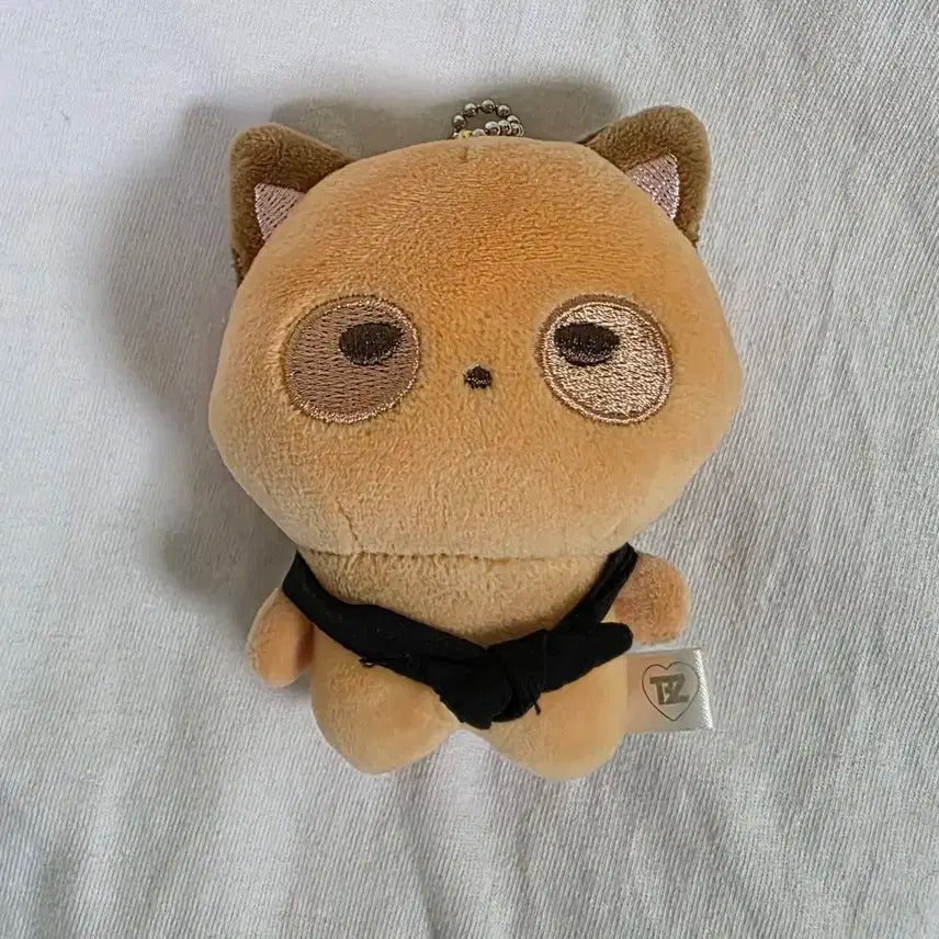 더보이즈 선우 공식 인형 일괄 제너레이션