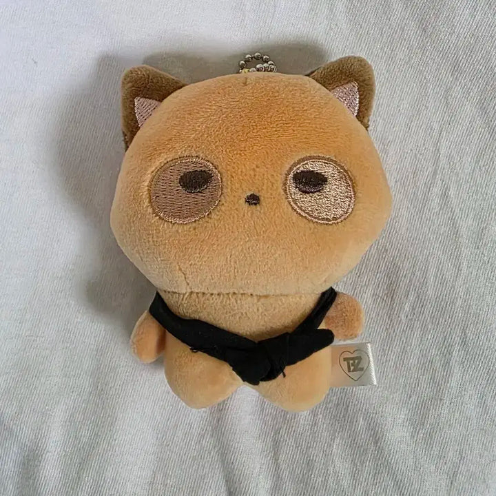 더보이즈 선우 공식 인형 일괄 제너레이션