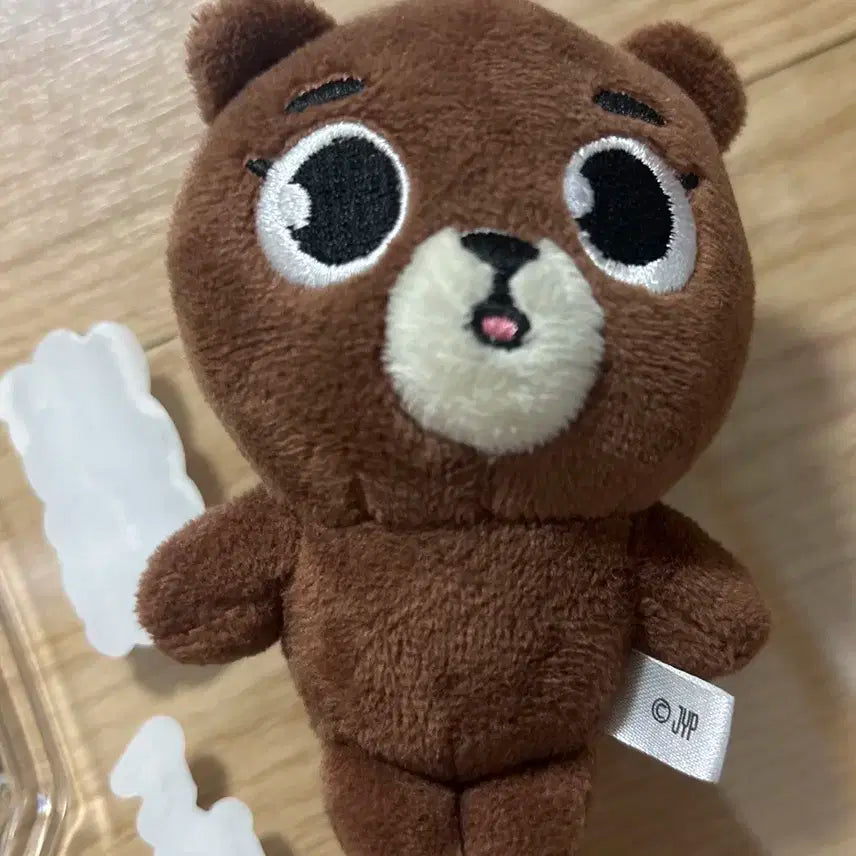 데이식스 일본 md 백참 방이