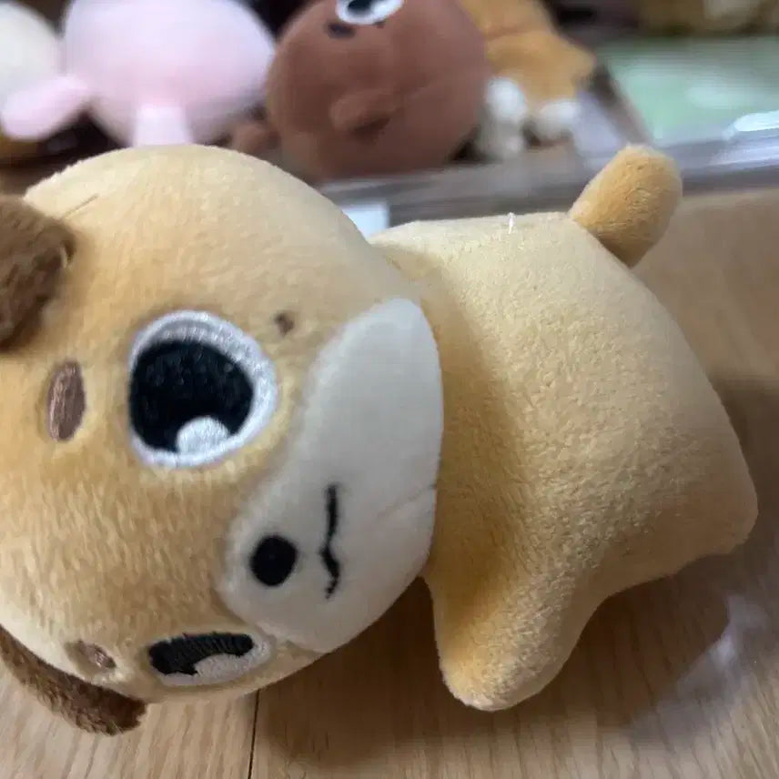 데니멀즈 손난로 돈