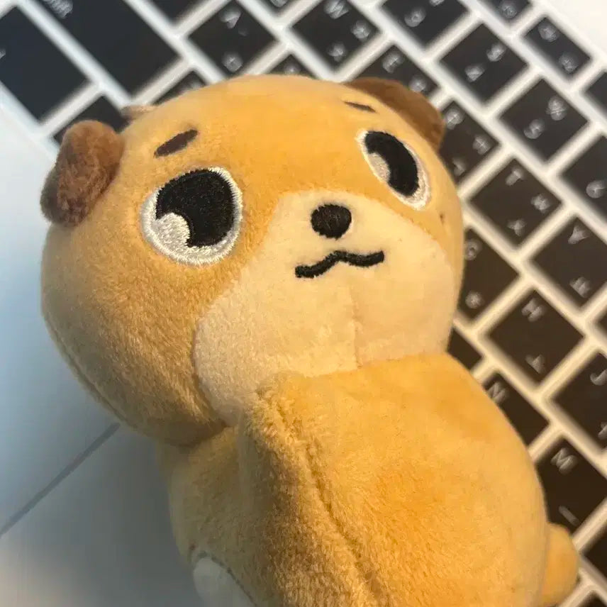 원가이하)데이식스 데니멀즈 손난로 돈 클콘 엠디 도운