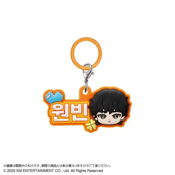 라이즈 일본 가챠 원빈 러버 메지루시 원가 미사용 새상품