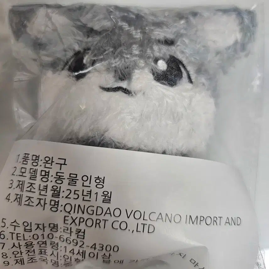 데이식스 원필 필댕이