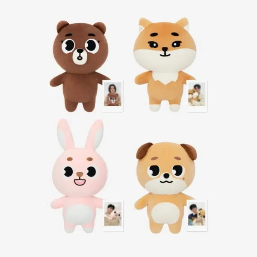 자이언트 데니멀즈 양도합니당! (폴라 포함)