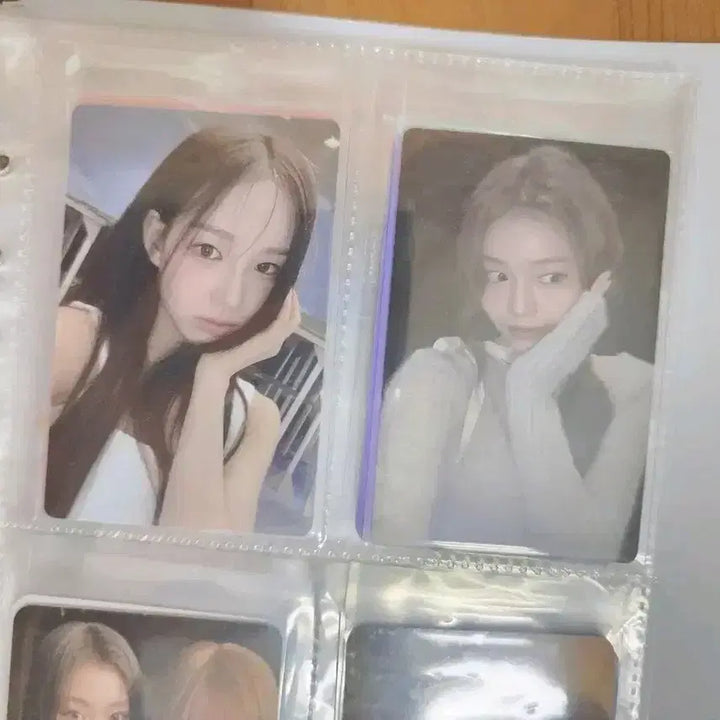 이즈나 개봉앨범 포카 특전 포함