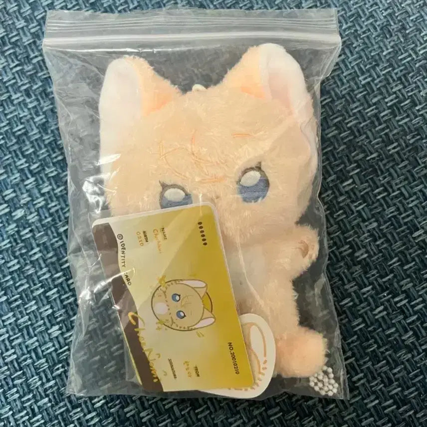 플레이브 노아 치노미 인형