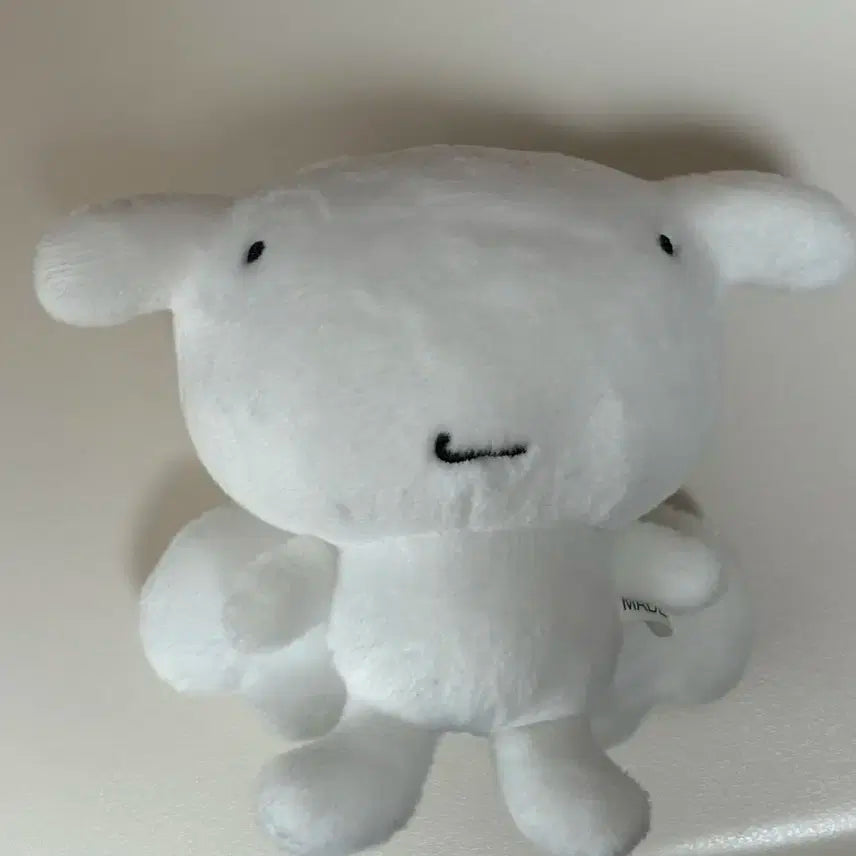 보넥도 운학 행우나 인형 양도((+특전 포함