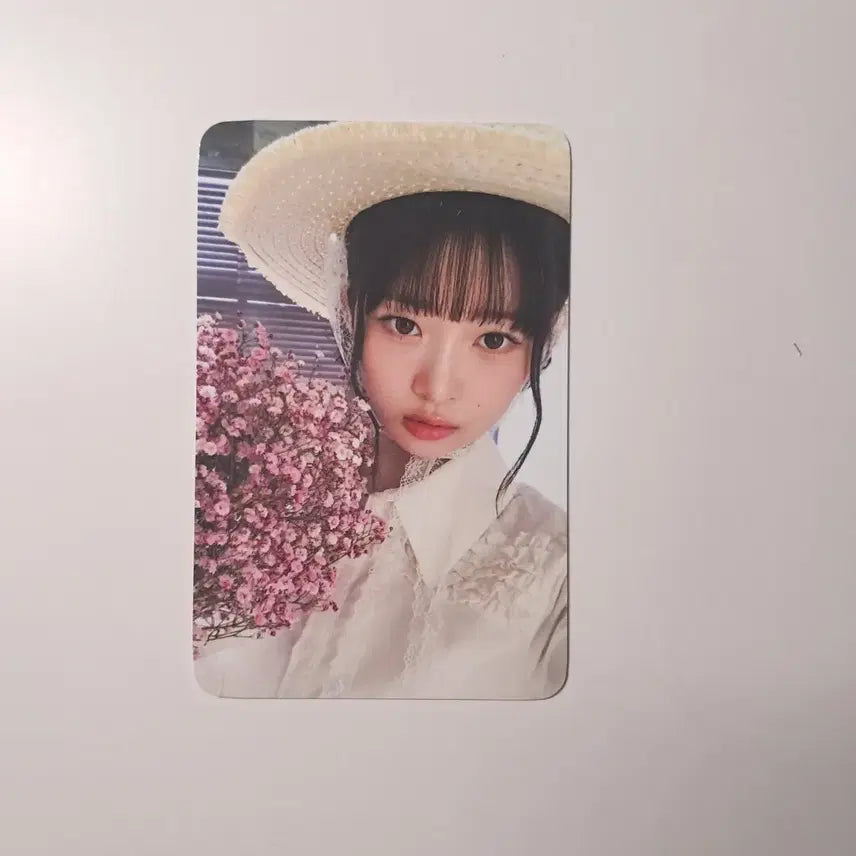 아이브 레이 엠파시 사웨 미공포 포카 꽃