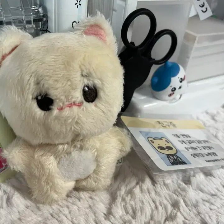아이브 안유진 안땅콩 판매 친구증포함 )