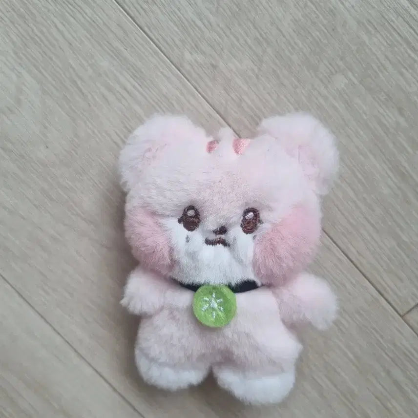 아이브 랑니니 official