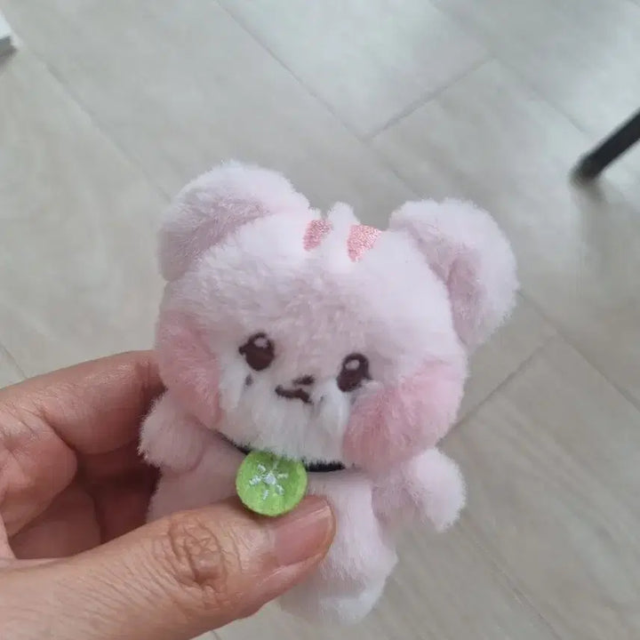 아이브 랑니니 official