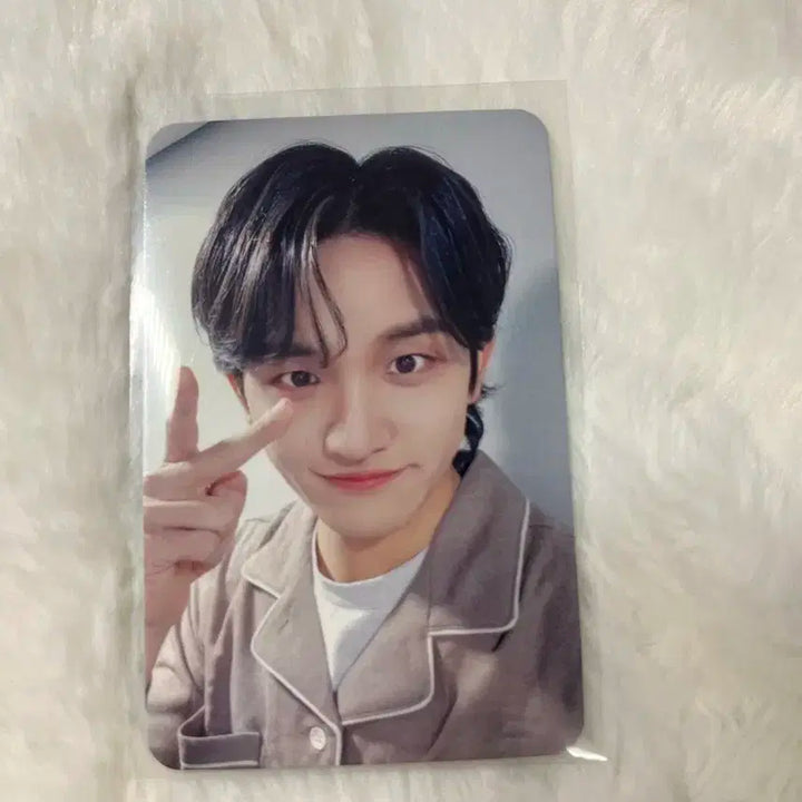 루시 조원상 디어마이뮤직 파자마 포카 판매