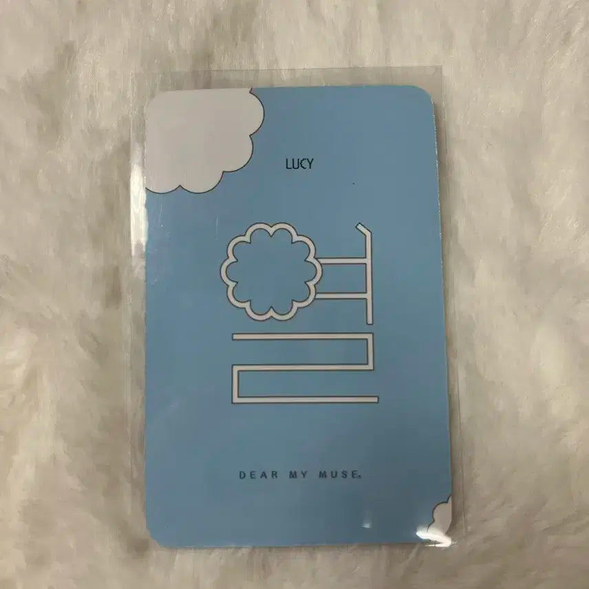 루시 조원상 디어마이뮤직 파자마 포카 판매