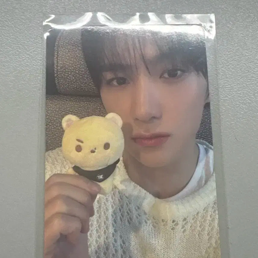 더보이즈 현재 인형 포카
