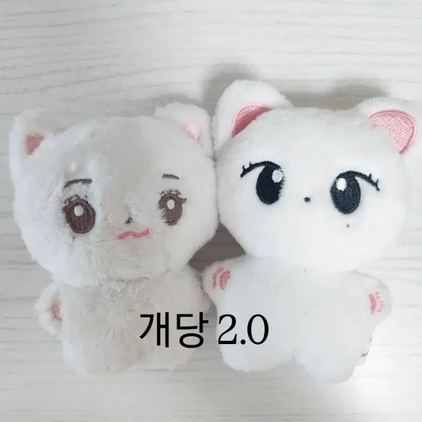 레옹이 냥즈 아이브유진레이원영리즈이서
