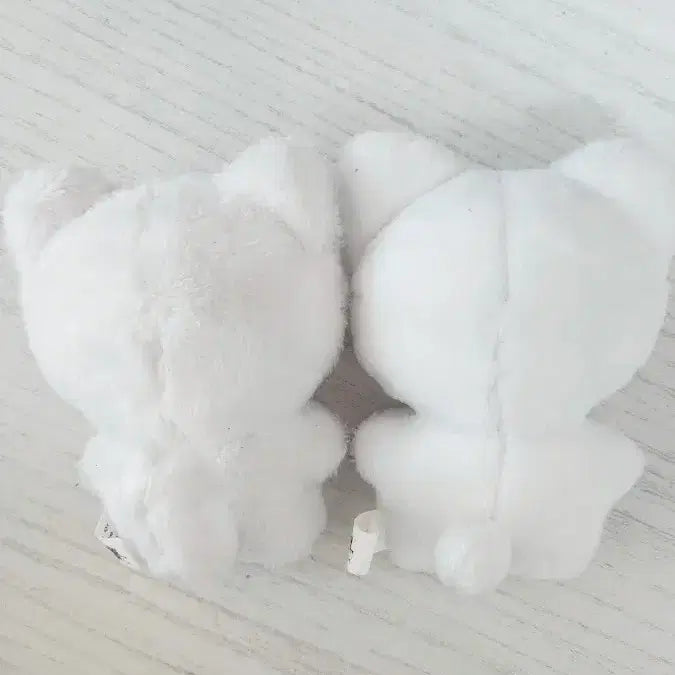 레옹이 냥즈 아이브유진레이원영리즈이서