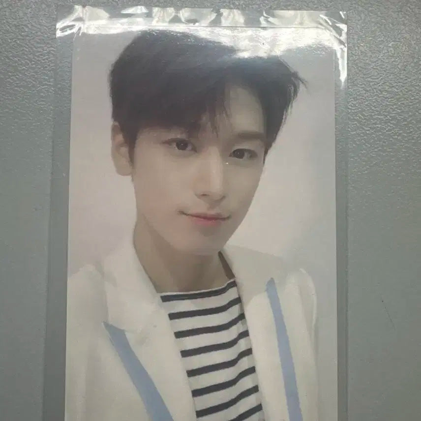 블룸블룸 주연 포카