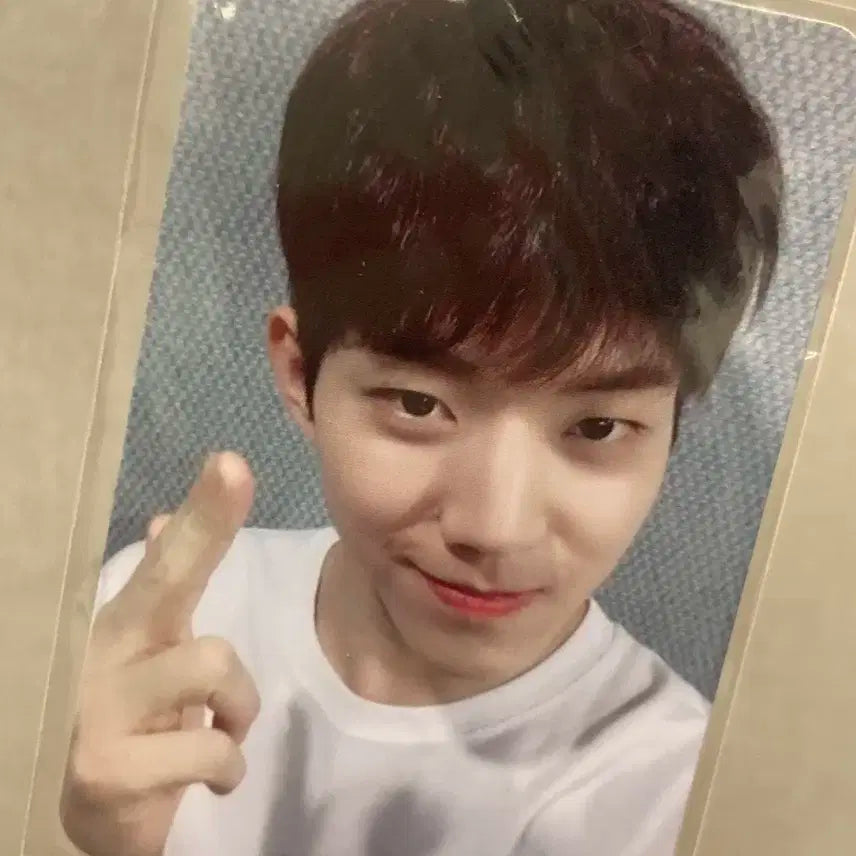 데이식스 도운 대만반 포카